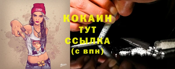 спиды Абаза