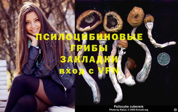 спиды Абаза